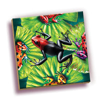 Magic Square - Frogs: Outset Media Puzzles