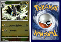 Front + Back scan | PokBox001B900 / English / Reverse Holofoil