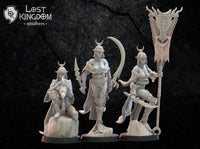 Onna Bugeisha Command Group: Lost Kingdom Miniatures Night Elves Resin 3D Print