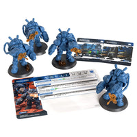 StarCraft Tabletop Miniatures Game: Terran: Marauder Expansion Archon Studio