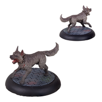 Kennel Master Carnevale TT Combat