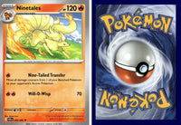 Front + Back scan | PokBox001A500 / English / Normal