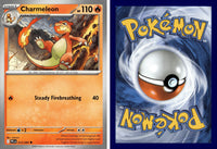 Front + Back scan | PokBox001A300-#049 / English / Normal
