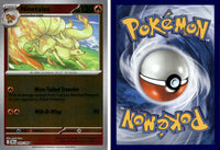 Front + Back scan | PokBox001B800 / English / Reverse Holofoil
