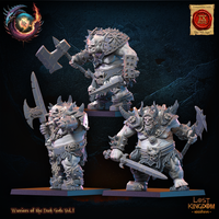 Forsworn Regiment: Lost Kingdom Miniatures Warriors of the Dark Gods Resin 3D Print
