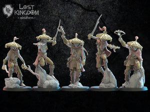 Akkorokamui Corsairs: Lost Kingdom Miniatures NIght Elves Resin 3D Print