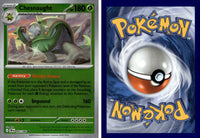 Front + Back scan | PokBox001A302 / English / Reverse Holofoil
