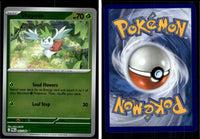 Front + Back scan | PokBox001A101 / English / Reverse Holofoil
