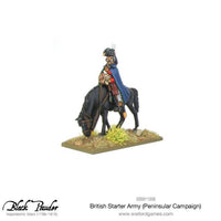 Napoleonic British Starter Army (Peninsular Campaign): Warlord Games Black Powder
