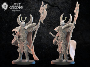 Junichiro on Foot: Lost Kingdom Miniatures NIght Elves Resin 3D Print