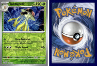 Front + Back scan | PokBox001A300 / English / Normal
