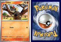 Front + Back scan | PokBox001A300-#036 / English / Normal
