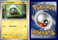 Front + Back scan | PokBox001A300-#046 / English / Normal
