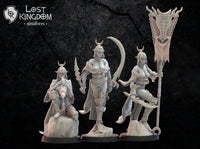 Onna Bugeisha Command Group: Lost Kingdom Miniatures NIght Elves Resin 3D Print
