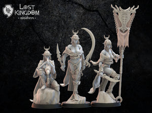 Onna Bugeisha Command Group: Lost Kingdom Miniatures NIght Elves Resin 3D Print