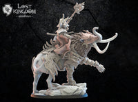 Junichiro on Baku: Lost Kingdom Miniatures NIght Elves Resin 3D Print
