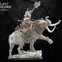 Junichiro on Baku: Lost Kingdom Miniatures NIght Elves Resin 3D Print