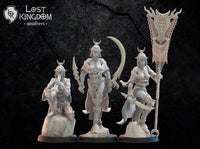 Onna Bugeisha Command Group: Lost Kingdom Miniatures NIght Elves Resin 3D Print
