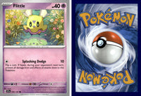 Front + Back scan | PokBox001A300-#012 / English / Normal
