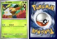 Front + Back scan | PokBox001B1100-#013 / English / Normal
