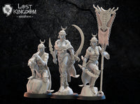 Onna Bugeisha Command Group: Lost Kingdom Miniatures NIght Elves Resin 3D Print
