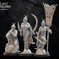 Onna Bugeisha Command Group: Lost Kingdom Miniatures NIght Elves Resin 3D Print