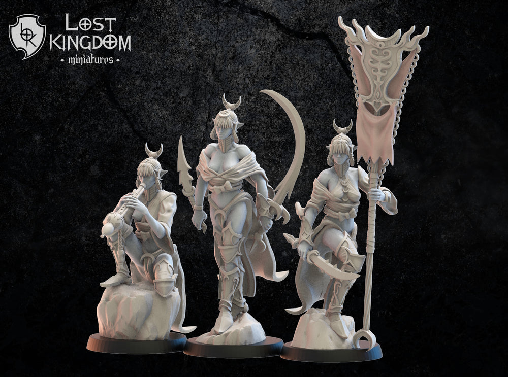 Onna Bugeisha Command Group: Lost Kingdom Miniatures NIght Elves Resin 3D Print