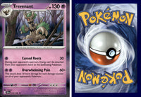 Front + Back scan | PokBox001A600 / English / Holofoil
