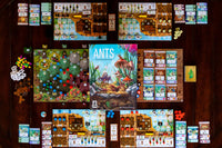 Ants Capstone Games Board Game

