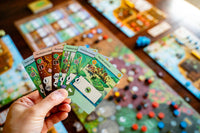 Ants Capstone Games Board Game
