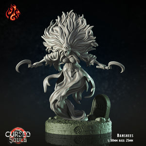 Banshees: Crippled God Foundry Cursed Souls 3D Resin Print