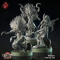 Banshees: Crippled God Foundry Cursed Souls 3D Resin Print

