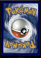 Hisuian Zorua (Back)
