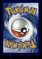 Chatot (Back)
