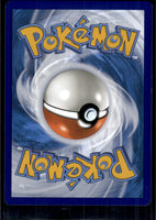Sudowoodo (Back)
