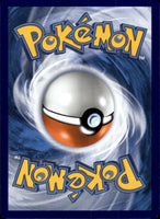 Salandit

