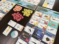 FINSPAN: SHARKS & REEFS EXPANSION Board Game StoneMaier Games
