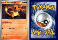 Front + Back scan | PokBox001A300-#043 / English / Normal
