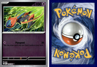 Front + Back scan | PokBox001B800 / English / Reverse Holofoil
