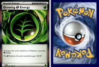 Front + Back scan | PokBox001B800 / English / Holofoil
