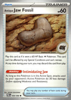 Antique Jaw Fossil | Near Mint / English / Normal
