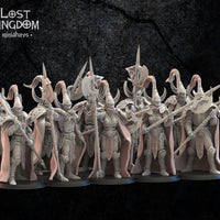 Hisui Guard: Lost Kingdom Miniatures Night Elves Resin 3D Print