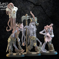 Undead Pirate Deep Sea Zombies Command Group: Undead of Misty Island  by Lost Kingdom Miniatures;  Resin 3D Print